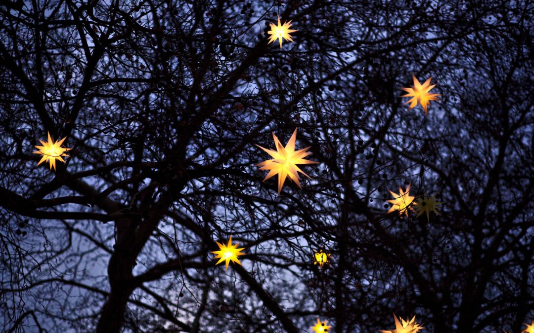Get us to hang your Christmas lights