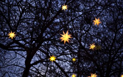 Get us to hang your Christmas lights