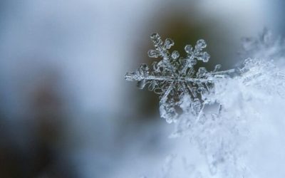 Avoiding costly plumbing and gas emergencies in the winter