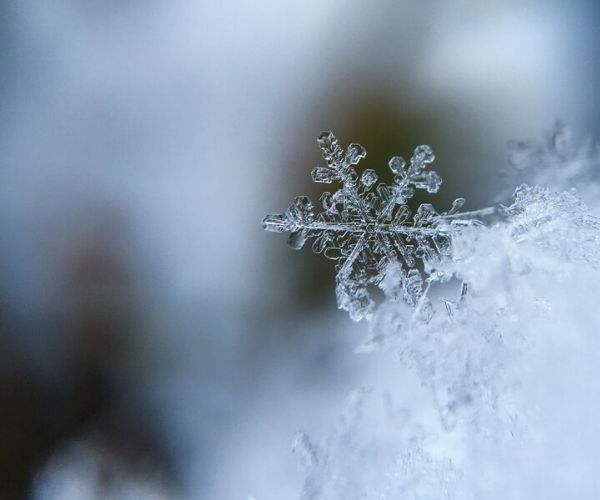 Avoiding costly plumbing and gas emergencies in the winter